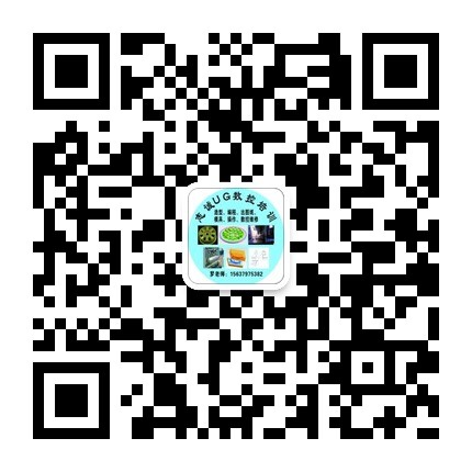 洛陽ug培訓(xùn).jpg